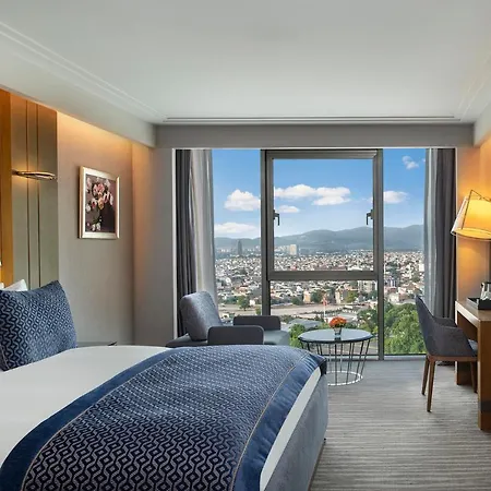 Hotel Moevenpick & Thermal Bursa