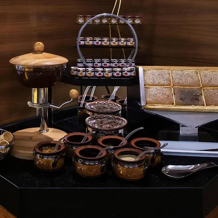 Moevenpick & Thermal Szálloda Bursa